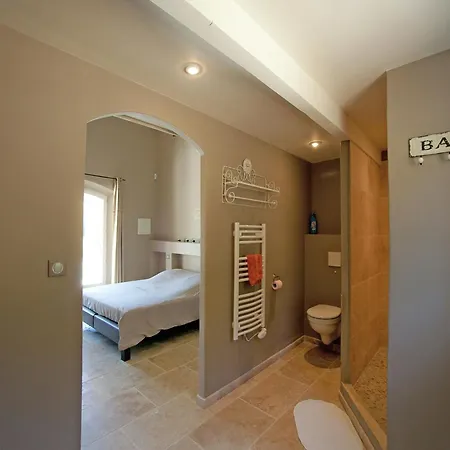 In Provence With Infinity Pool, Cleaning Included Villa