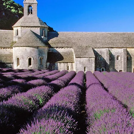 In Provence With Infinity Pool, Cleaning Included Villa Martres-Tolosane